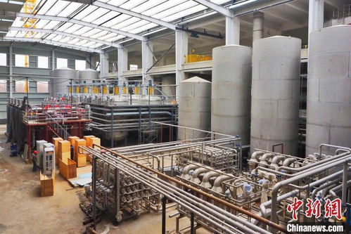 全國產糧大縣 德州平原做強農產品深加工 打造中國北方 食谷